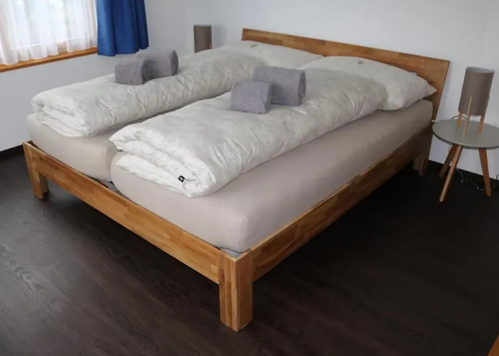 Spel Rein Cumpadials By Interhome * Lumnezia