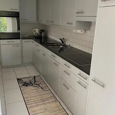 Appartement Spel Rein Cumpadials By Interhome *
